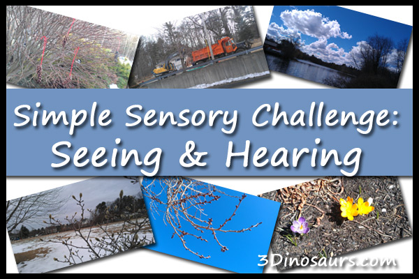 Seeing & Hearing
