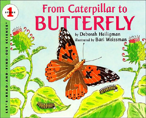 From Caterpillar to Butterfl