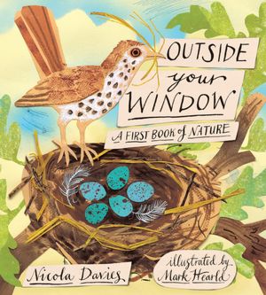 Outside your Window