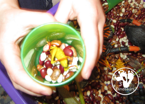 Bug Sensory Bin - a simple sensory bin with beans for the filler and random bugs in the sensory bin. It is easy to set up and use with kids in kindergarten and prek.  3Dinosaurs.com