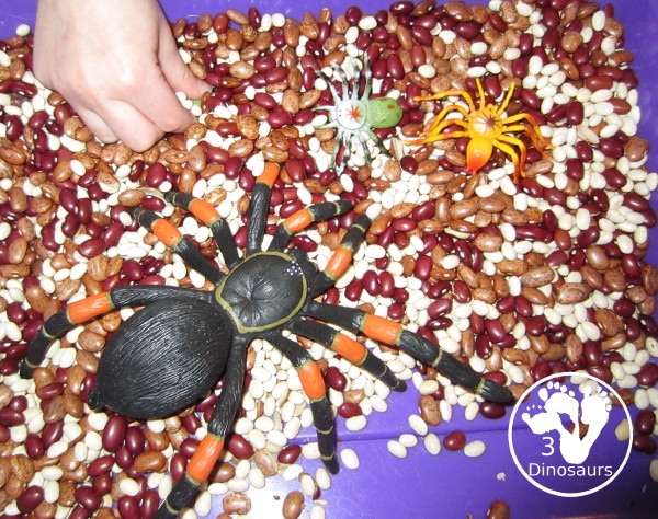 Bug Sensory Bin - a simple sensory bin with beans for the filler and random bugs in the sensory bin. It is easy to set up and use with kids in kindergarten and prek.  3Dinosaurs.com