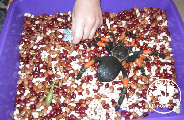 Bug Sensory Bin - a simple sensory bin with beans for the filler and random bugs in the sensory bin. It is easy to set up and use with kids in kindergarten and prek.  3Dinosaurs.com