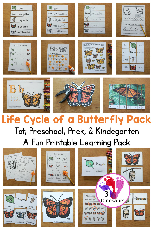 Free Life Cycle of a Butterfly Pack - a 70 page prek and kindergarten and 32 page tot and preschool pack with load of life cycle of butterfly for monarch with different pictures and activities around butterflies - 3Dinosaurs.com