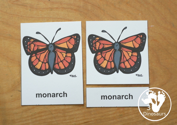 Free Life Cycle of a Butterfly Pack - a 70 page prek and kindergarten and 32 page tot and preschool pack with load of life cycle of butterfly for monarch with different pictures and activities around butterflies - 3Dinosaurs.com