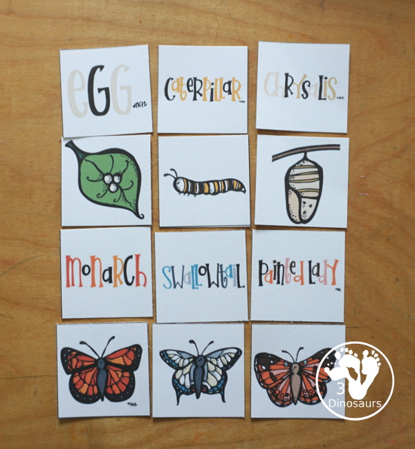 Free Life Cycle of a Butterfly Pack - a 70 page prek and kindergarten and 32 page tot and preschool pack with load of life cycle of butterfly for monarch with different pictures and activities around butterflies - 3Dinosaurs.com