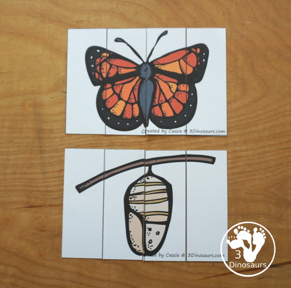 Free Life Cycle of a Butterfly Pack - a 70 page prek and kindergarten and 32 page tot and preschool pack with load of life cycle of butterfly for monarch with different pictures and activities around butterflies - 3Dinosaurs.com