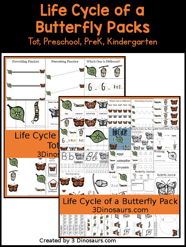 Free Life Cycle of a Butterfly Pack - 3Dinosaurs.com