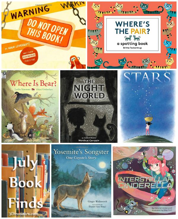 July 2015 Book Finds - stars, animals, books, cinderella, night, matching, coyotes  - 3Dinosaurs.com