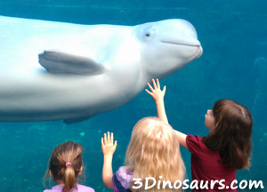 Mystic Aquarium