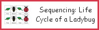 Sequencing: Life Cycle of a Ladybug