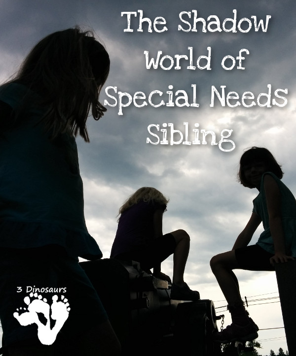 The Shadow World of Special Needs Sibling - a look at rules and following them and parents helpig with the rules - 3Dinosaurs.com