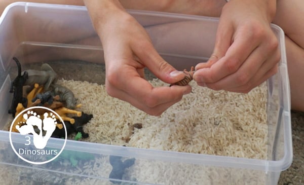 Zoo Theme Rice Sensory Bin - an easy to put together sensory bin that kids can use. - 3Dinosaurs.com