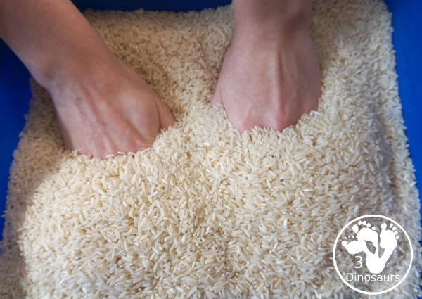 Simple Rice Sensory Bin - a sensory bin that just has rice that you can add other items of not. A simple sensory bin to set up for any time of year. 3Dinosaurs.com