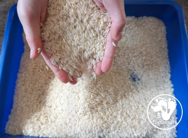 Simple Rice Sensory Bin - a sensory bin that just has rice that you can add other items of not. A simple sensory bin to set up for any time of year. 3Dinosaurs.com