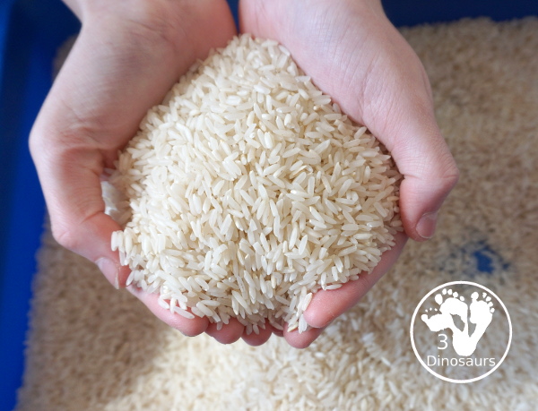 Simple Rice Sensory Bin - a sensory bin that just has rice that you can add other items of not. A simple sensory bin to set up for any time of year. 3Dinosaurs.com