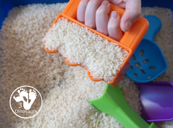 Simple Rice Sensory Bin - a sensory bin that just has rice that you can add other items of not. A simple sensory bin to set up for any time of year. 3Dinosaurs.com