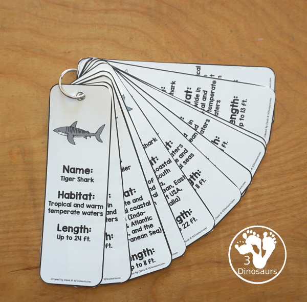 Free Shark Information Bookmark Printables - are fun shark bookmarks you can use with kids that have shark facts. You have 12 different sharks with fun shark themes. Great for any Shark theme or Shark Week - 3Dinosaurs.com