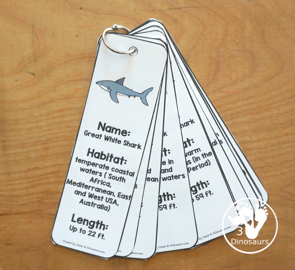 Free Shark Information Bookmark Printables - are fun shark bookmarks you can use with kids that have shark facts. You have 12 different sharks with fun shark themes. Great for any Shark theme or Shark Week - 3Dinosaurs.com