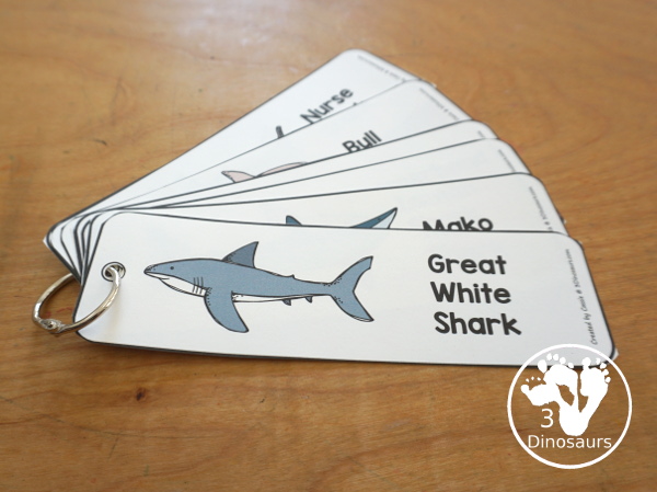 Free Shark Name Bookmark Printables - are fun shark bookmarks you can use with kids. You have 12 different sharks with fun shark themes. Great for any Shark theme or Shark Week - 3Dinosaurs.com