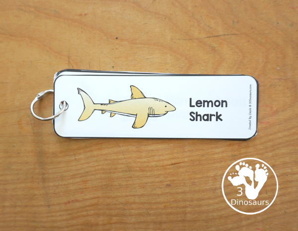 Free Shark Name Bookmark Printables - are fun shark bookmarks you can use with kids. You have 12 different sharks with fun shark themes. Great for any Shark theme or Shark Week - 3Dinosaurs.com