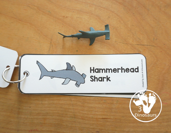 Free Shark Name Bookmark Printables - are fun shark bookmarks you can use with kids. You have 12 different sharks with fun shark themes. Great for any Shark theme or Shark Week - 3Dinosaurs.com