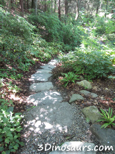 Garden in the Woods