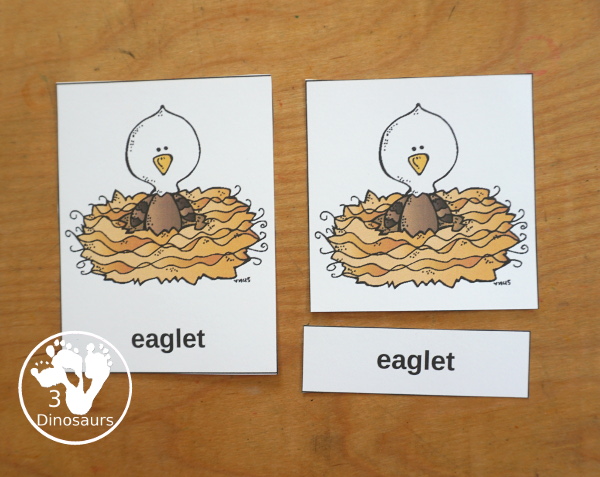Free Alphabet Stomping Phonics E PreK-Kinder Pack - a fun letter pack with cards, puzzles, pictures, matching, color and all working on the Letter E. An easy, fun learning pack for the Letter E. - 3Dinosaurs.com