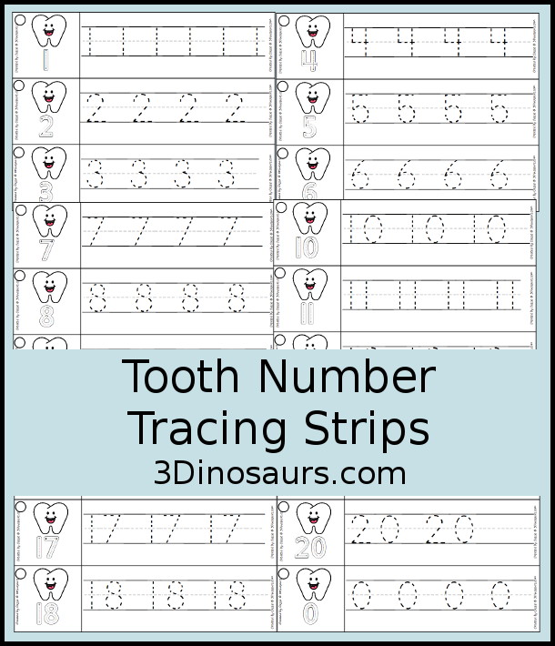 Free Tooth Number Tracing Strips - with numbers 0 to 20. You can trace the numbers and an example of how to trace the numbers on the strips, plus an tooth on each tracing strip. - 3Dinosaurs.com