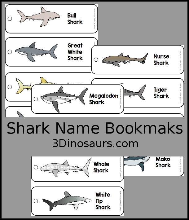 Free Shark Name Bookmarks - 12 different ones to pick from for Shark week and learning shark names as well. - 3Dinosaurs.com