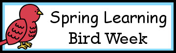 Bird Weekly Pack