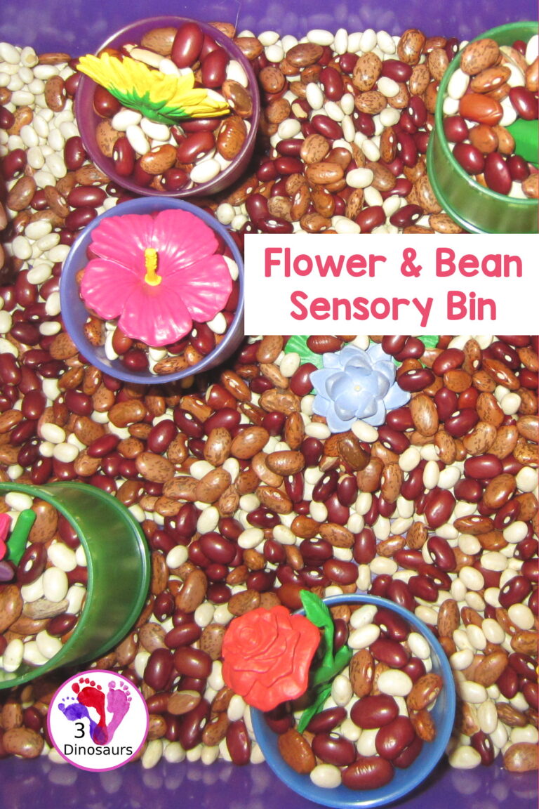 Flowers And Bean Sensory Bin