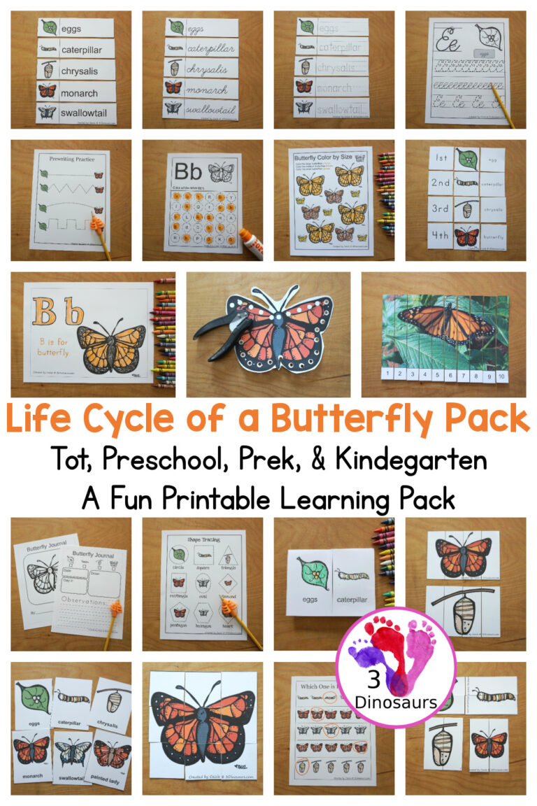 Free Life Cycle of a Butterfly Pack For Tot, Preschool, Prek and Kindergarten
