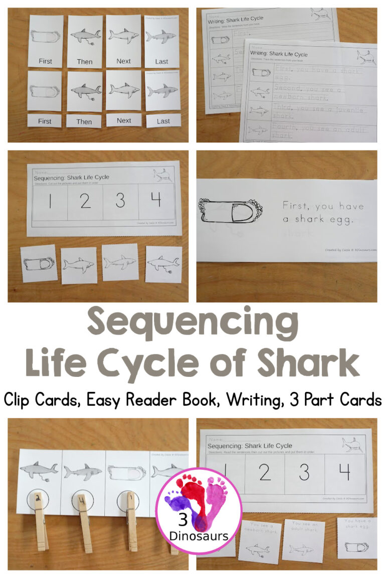 Sequencing: Shark Life Cycle Printable