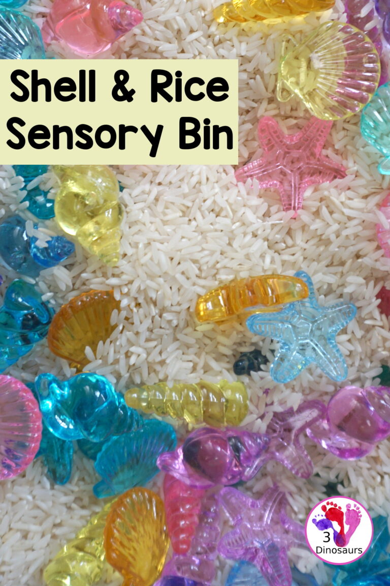 Shell and Rice Sensory Bin
