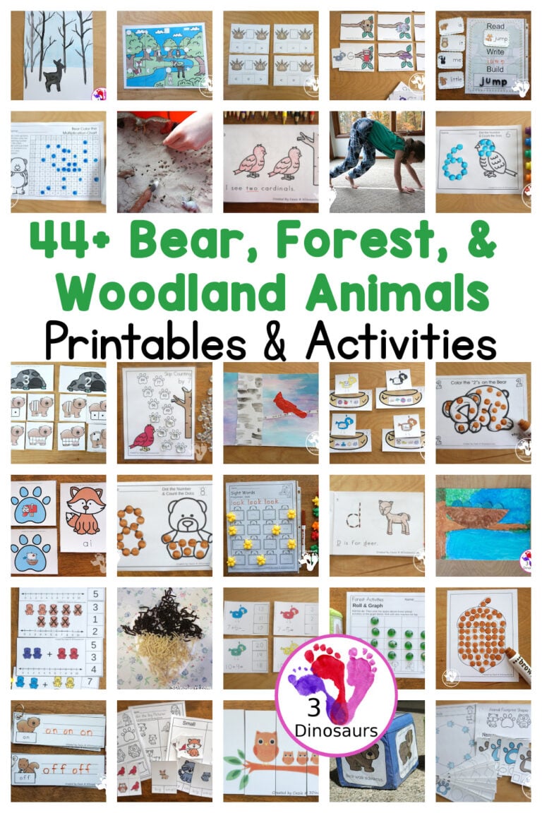 44+ Bear, Forest, and Woodland Animals Activities & Printables